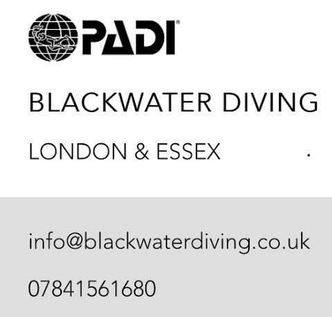 Blackwater Diving photo